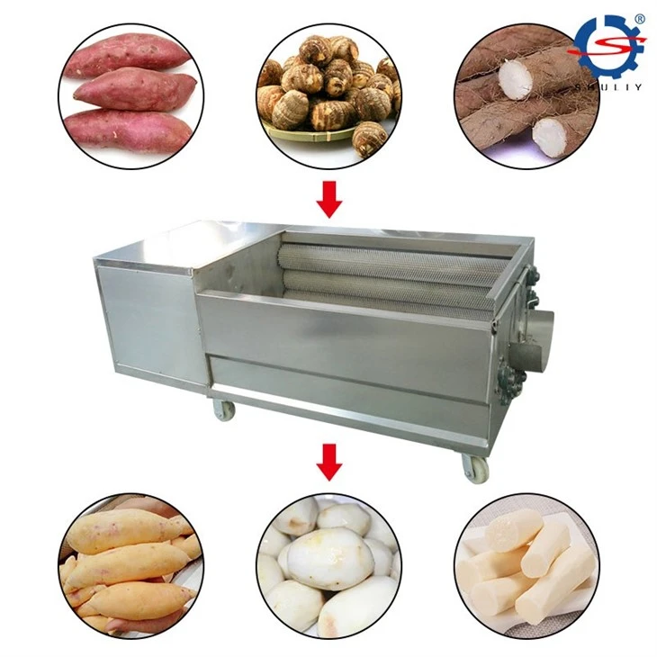 fruit washing machine1